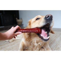 Os Nylabone Marron Bacon XL