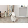 Jouet pour chats Trixie Poisson 46 cm