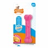 Jouet pour chien Nylabone Birka Rose Poulet XS