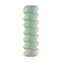 Jouet pour chien Nylabone SENSORY TACTILE STICK Vert Beurre de cacahuètes Bacon S