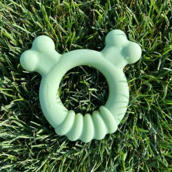 Jouet pour chien Nylabone SENSORY TACTILE RING Vert Beurre de cacahuètes Poulet S
