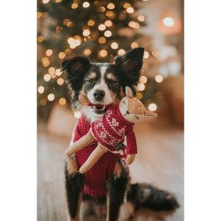 Jouet pour chien Hunter Birka Marron Cerf