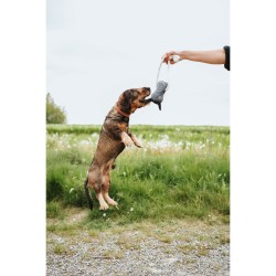 Jouet pour chien Hunter NEBRASKA Gris Cheval