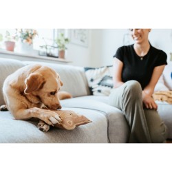 Jouet pour chien Hunter Tough Tundra Beige Raton laveur