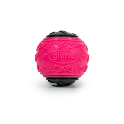 Boule pour animaux de compagnie Gloria PLAY AND RUN Rose TPR L 8,89 cm