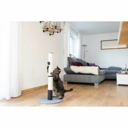 Grattoir pour Chats Kerbl