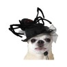 déguisement pour chien Noir Chapeau