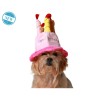 déguisement pour chien Rose Chapeau Anniversaire