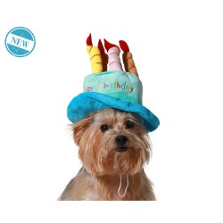 déguisement pour chien Bleu Chapeau Anniversaire