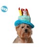 déguisement pour chien Bleu Chapeau Anniversaire