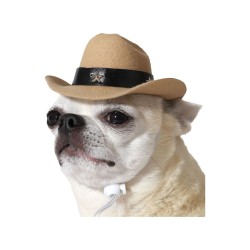 déguisement pour chien...