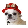 déguisement pour chien Rouge Chapeau