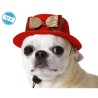 déguisement pour chien Rouge Chapeau