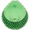 Jouet pour chien Trixie Vert 12 cm Poisson