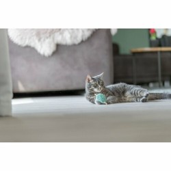 Jouet pour chats Trixie Coeur