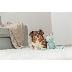Jouet pour chien en peluche Trixie Polyester Grenouille 42 cm