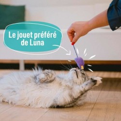 Jouet pour chats Aimé Multicouleur 7 Pièces