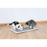 Grattoir pour Chats Trixie Gris Gris clair Polyester Sisal EVA 55 × 35 cm