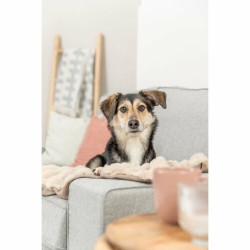 Couverture pour animaux de compagnie Trixie Elli Sable Polyester 150 x 100 cm