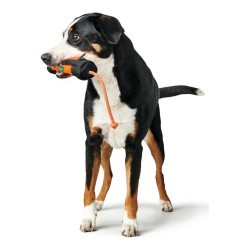 Emballage Hunter Dummy Noir Orange Snacks