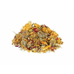 Nourriture pour tortues Trixie Flower Mix Tortue