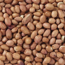 Nourriture pour oiseaux Deli Nature Premium 1 kg