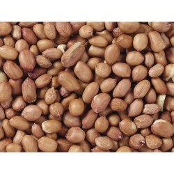 Nourriture pour oiseaux Deli Nature Premium 3 Kg