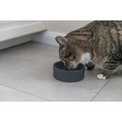 Mangeoire pour chats Trixie Céramique Ø 12 cm