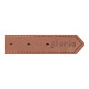Collier pour Chien Gloria Oasis Marron (40 x 1,5 cm)