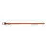 Collier pour Chien Gloria Oasis Marron (40 x 1,5 cm)