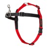 Harnais pour Chien Company of Animals Halti Noir/Rouge Taille L (80-120 cm)