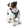 Harnais pour Chien Hunter Hilo-Comfort Bleu Taille M (55-60 cm)