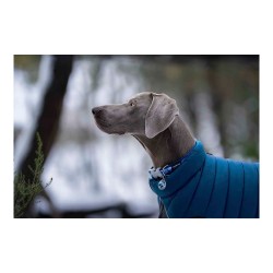 Manteau pour Chien TicWatch Puffer 30 cm