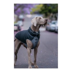 Manteau pour Chien TicWatch Puffer 50 cm Noir/Gris