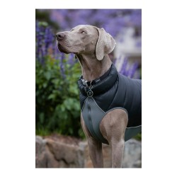 Manteau pour Chien TicWatch Puffer Noir/Gris 55 cm