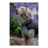 Manteau pour Chien TicWatch Puffer Noir/Gris 55 cm