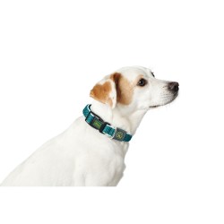 Collier pour Chien Hunter Turquoise 12