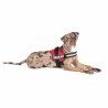 Harnais pour Chien Julius K9 Power Rouge L/XL 2