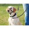 Harnais de guidage pour chien Trixie Top Trainer Noir L