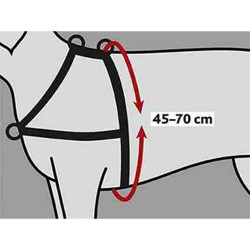 Harnais pour Chien Trixie...