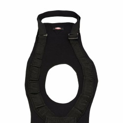 Collier pour Chien Trixie Rustic Brun foncé S/M 34-40 cm